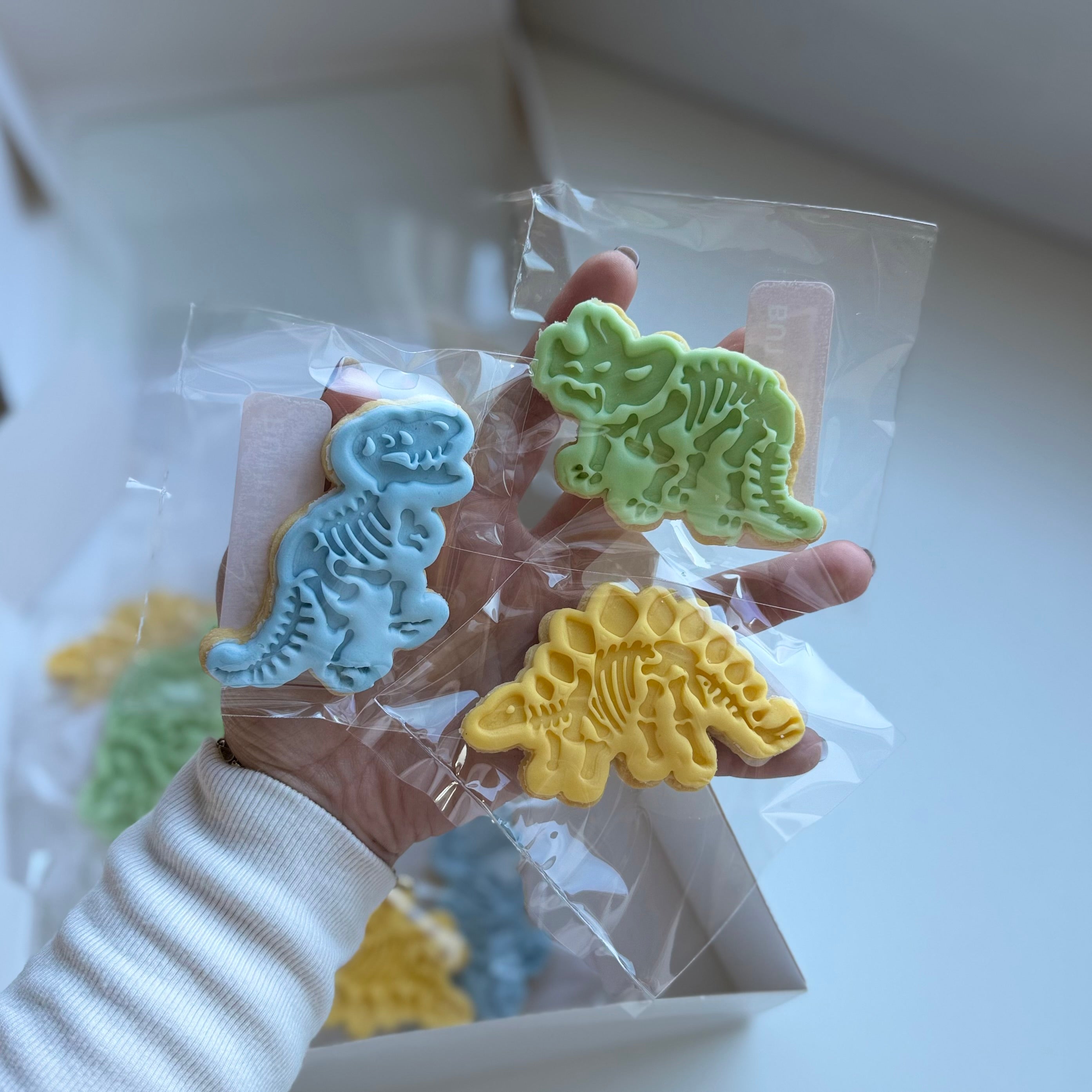 Dinosaur Cookie Collection
