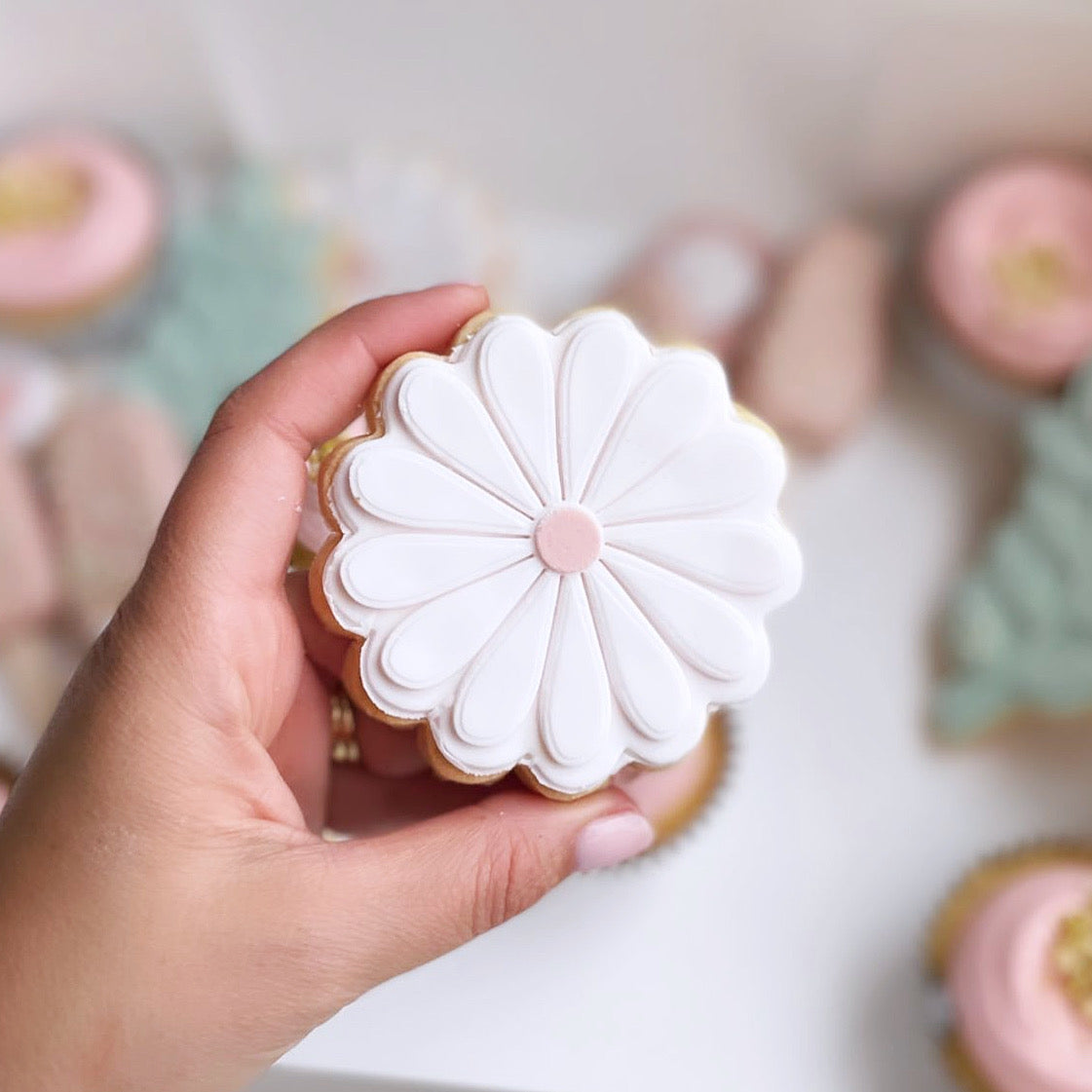 Daisy Cookie