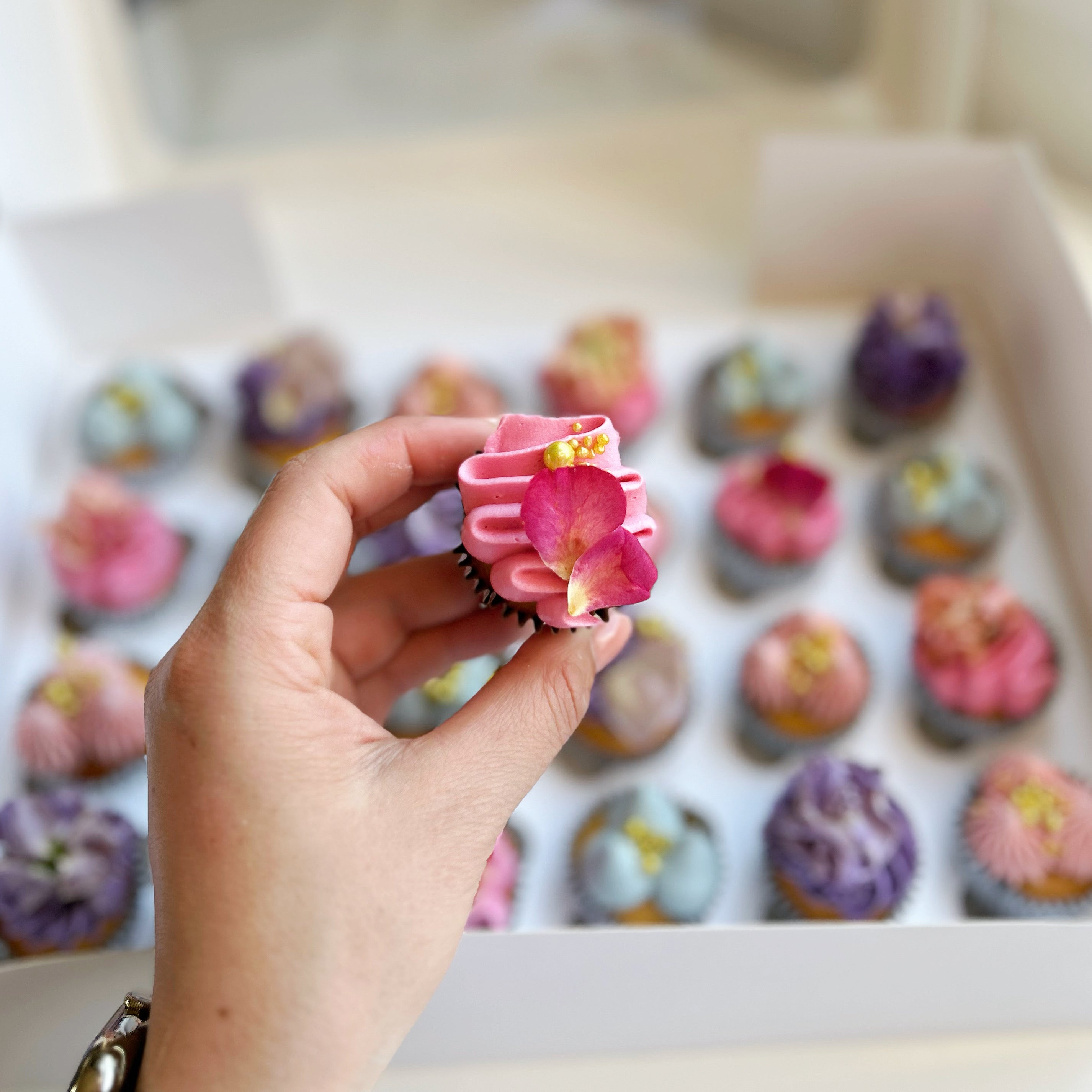 Fruits + Florals Mini's