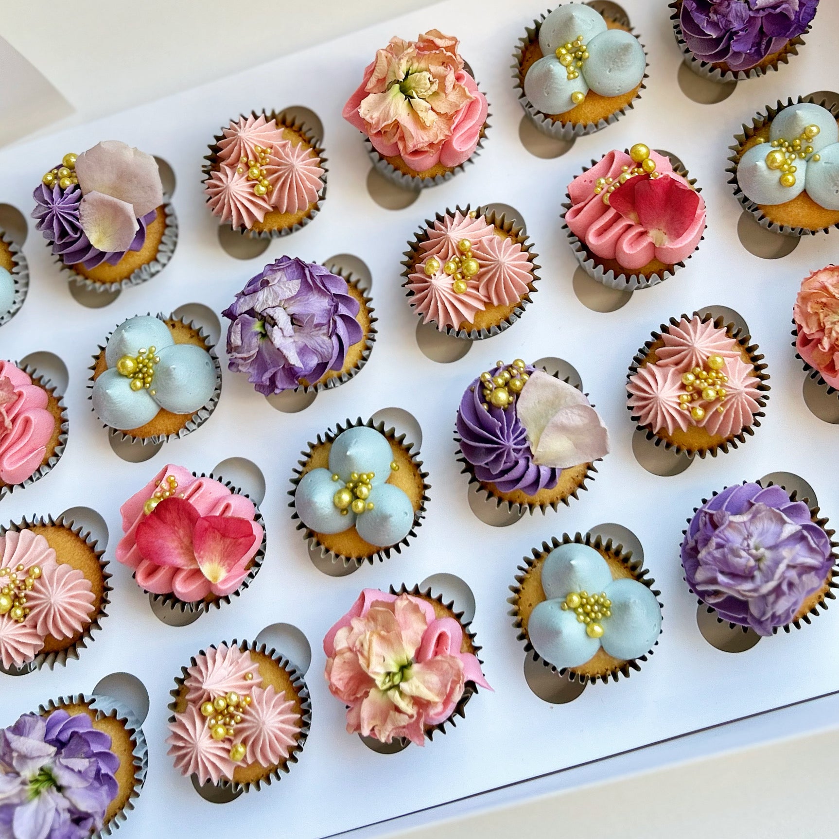 Fruits + Florals Mini's