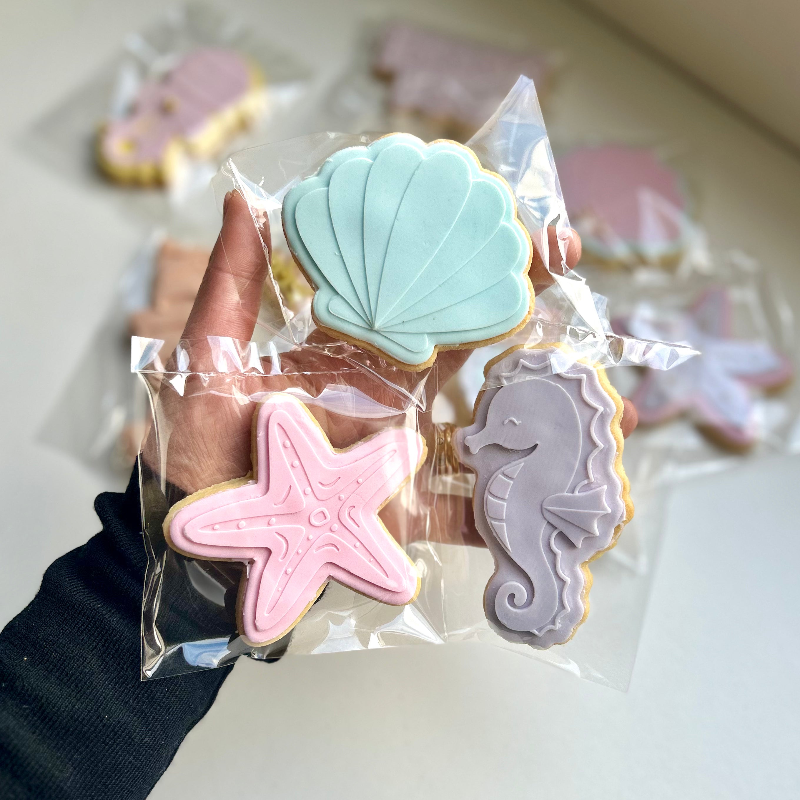 Mermaid under the sea shell birthday cookie favour gift