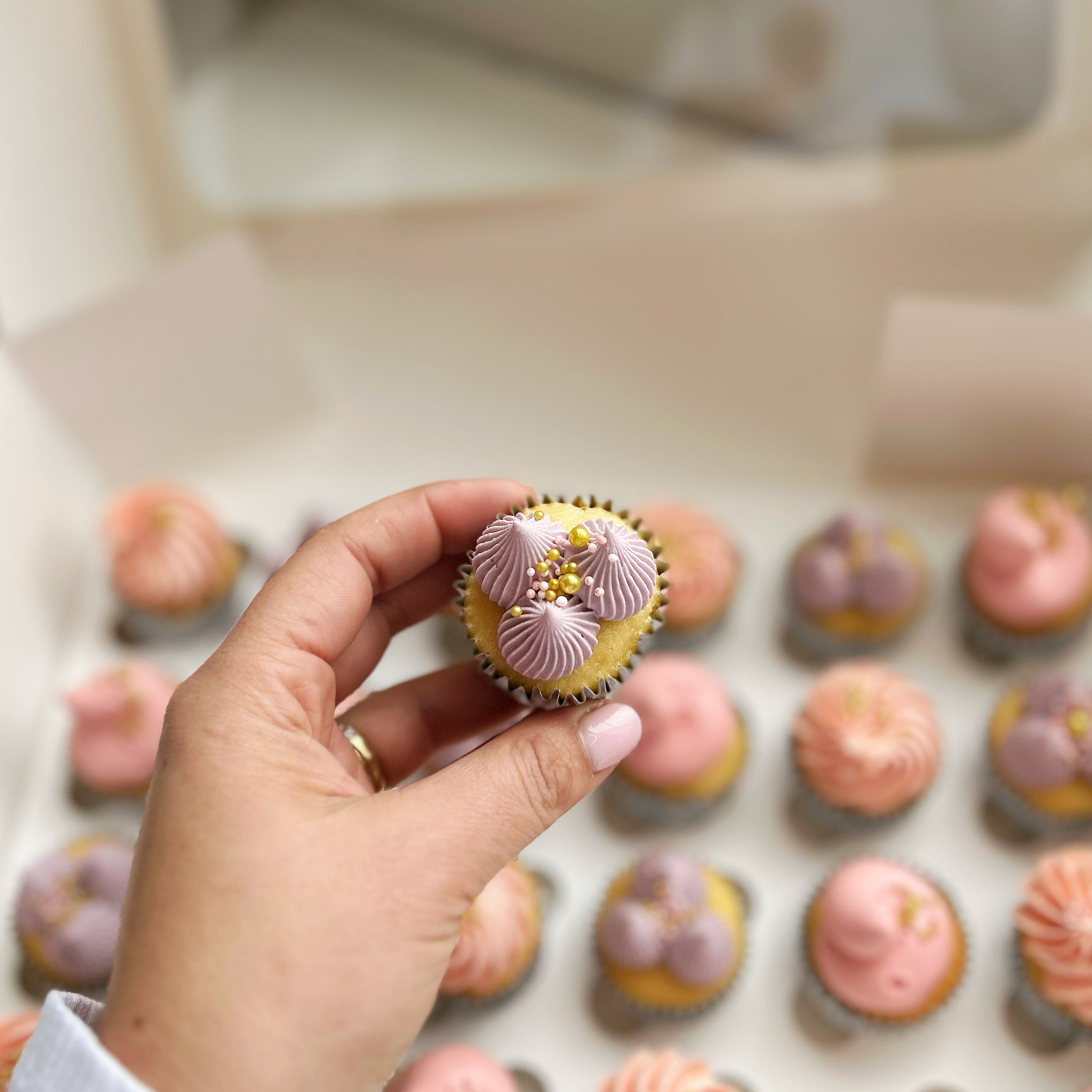 Mini Signature Cupcake