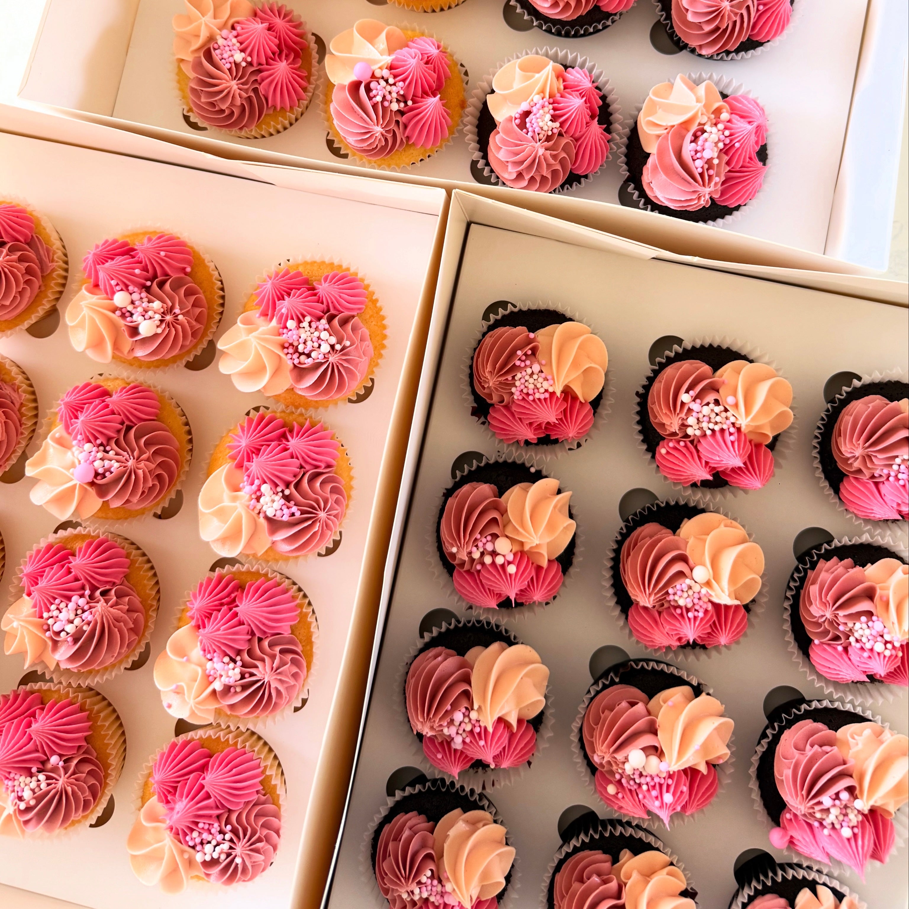 Signature Cupcakes (24HR)