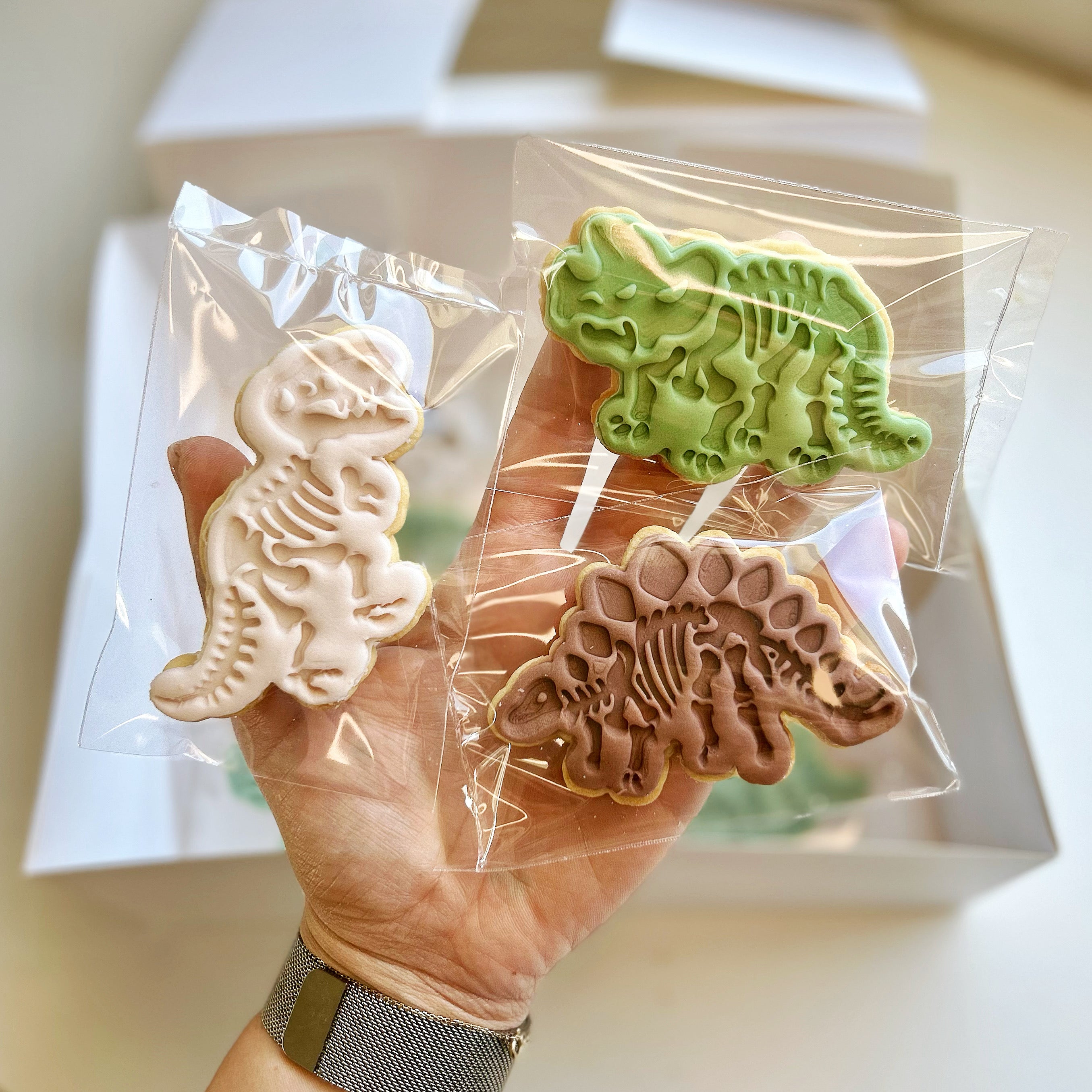 Dinosaur Cookie Collection