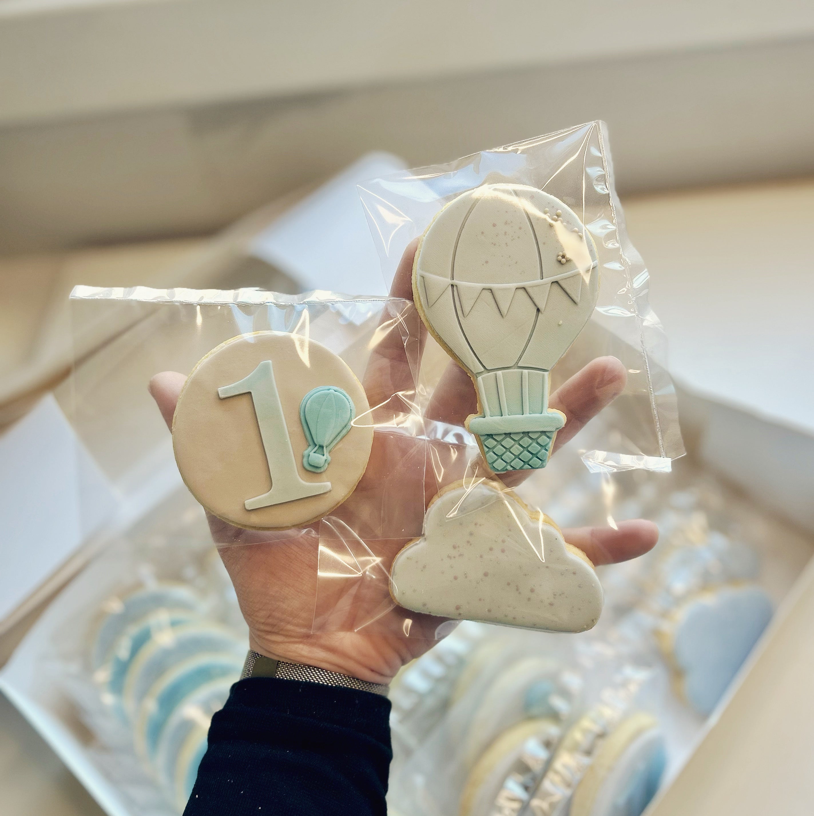 Hot Air Balloon Cookie Collection
